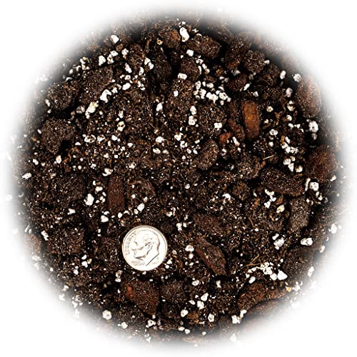 Professional Succulent Soil Premium All Purpose Blend | Pre-Mixed Ready to Use for Cactus and Succulents | Sphagnum Peat Moss, Perlite, New Zealand Pine Bark - Made in USA - 1 Quart - view 3
