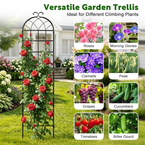 82.7 x 40in Rustic Iron Arch Decoration Garden Trellis with Black Metal Coating – Perfect for Supporting Climbing Plants Outdoor, Roses, Vines, Flowers, and Vegetables. - view 4