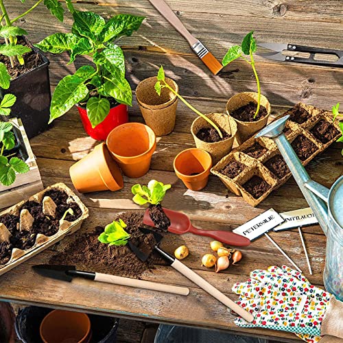 RoseFlower12 Pcs Mini Gardening Tools Set, Plants Care Tools Kit, Bonsai Mini Hand Transplanting Succulent Tools, Indoor Terrarium Tool Accessories, Garden Plant Care Tool Kit, Gardening Accessories - view 6