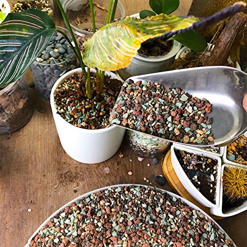 3lb Mix Lava Rocks for Plants in Door -Gravel Pebbles for Bonsai Succulent Cactus Potting Soil and Vase Fillers, Fairy Gardening,Top Dressing - view 5
