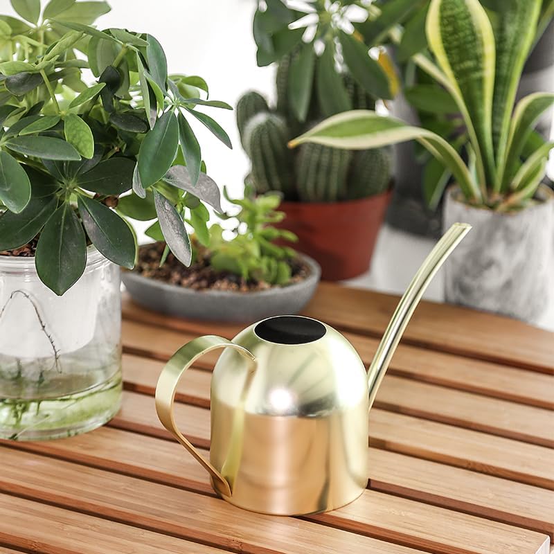 Stainless steel water can for indoor plants and garden (gold 30 oz) | stainless steel, long spout, houseplants, succulents, herbs, precise watering, balanced handle, rust resistant - view 5
