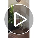 Ollas, Self Watering Terracotta Globes, Set of 4 (Jade Green) - view 7