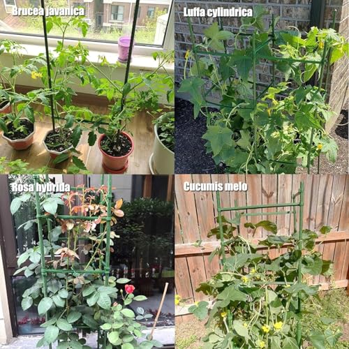 4 Pack Tomato Trellis & Cages, Plant Support Stakes for Outdoor Vertical Garden, Climbing Plants, Vegetables, Tomatoes, Cucumbers - view 7