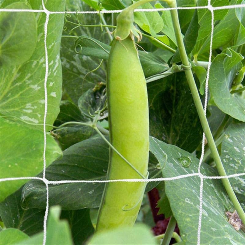 Polyester Trellis Netting Garden Plant Climbing Support Mesh for Vine Vegetables and Flowers - view 4