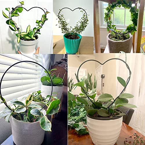 2 Pack Garden Trellis for Climbing Plants, 13 inches Rust-Proof Iron Metal Plant Support with Black Rust Proof Coating for Decorative Potted Climbing Vines and Flowers (Round & Heart) A1016 - view 6