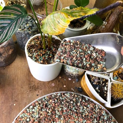 45lb Mix Lava Rocks for Plants in Door -Gravel Pebbles for Bonsai Succulent Cactus Potting Soil and Vase Fillers, Fairy Gardening,Top Dressing - view 5
