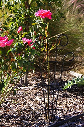 2 Pack Black Coated Wave Pot Trellis 23'' Stakes for Climbing Plants Patio Plant Support for Outdoor,Rose, Vegetable Flower, Backyard - view 4