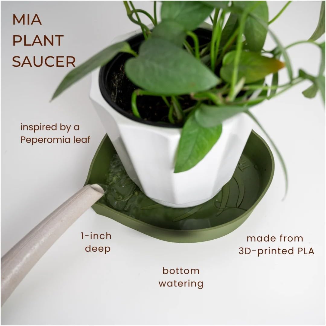 Mia Bottom Watering Plant Saucer – 10 inches Self-Watering Plant Tray for Indoor Plants, Leaf-Shaped Pot Saucer with Water Reservoir for Healthy Root Growth - Green - view 2