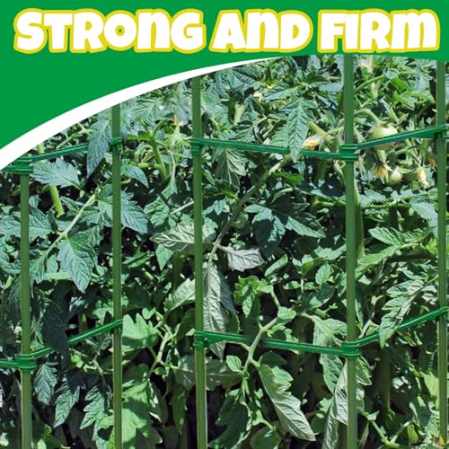 100Pcs Plant Stake Arms for Tomato Cage,11.8" Garden Stake Connectors with 2 Adjustable Buckles,Expandable Trellis Connectors Attach 11mm Diameter Plant Stakes for Climbing Plants Vegetables - view 5