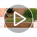Microgreens Growing Kit - Self-Watering Tray with US Premium Seeds - view 7