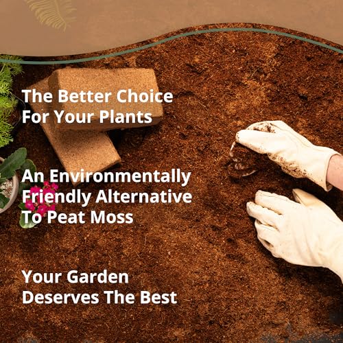 Coco Bliss Coco Coir 650gm Bricks (6-Pack) | Expands Up to 48 Quarts - view 5