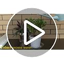 15 Pack Assorted Sizes 6 8 10 Inch Clear Thick Plastic Heavy Duty Sturdy Plant Saucer Drip Trays for pots, 5 Pieces of Each Size (Assorted Sizes 6'', 8'', 10'') - view 7