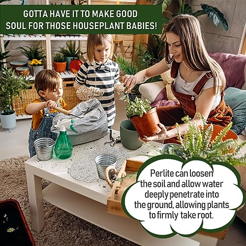 10QT Horticultural Perlite Bulk, Organic Perlite for Plants, Course Perlite for Gardening, for Plants Indoor, for Houseplants, to Promotes Soil Root Growth, and Water Drainage and Plant Growth(3-6mm) - view 3