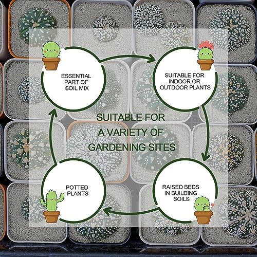 15QT Horticultural Perlite Bulk, Organic Perlite for Plants, Course Perlite for Gardening, for Plants Indoor, for Houseplants, to Promotes Soil Root Growth, and Water Drainage and Plant Growth(3-6mm) - view 6