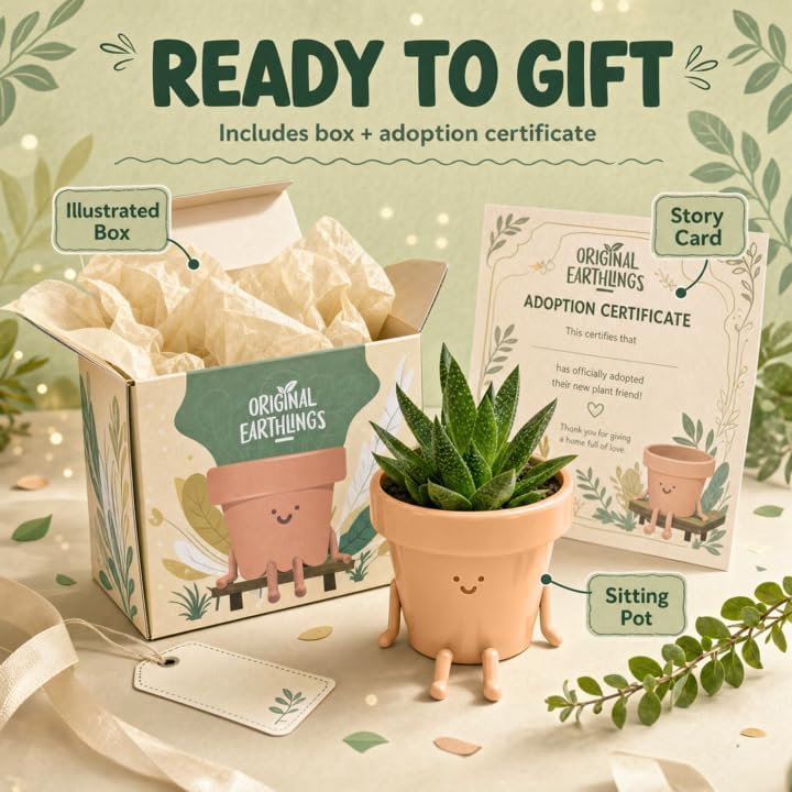 Sitting Small Plant Pot - 4 Inch Cute Plant Pot - Succulent & Cactus Christmas Planters, Removable Drainage Plug, Cute Decor Plant Gifts for Plant Lovers, Teacher Gifts - view 6