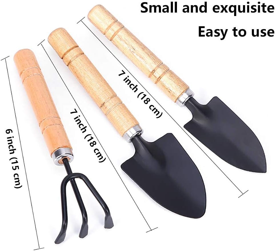 Gardening tool set (6 pcs) spade shovel rake for garden plants care house plants flower pot cactus vegetables kids indoor small plants mini medium plant tool succulent kit - view 2
