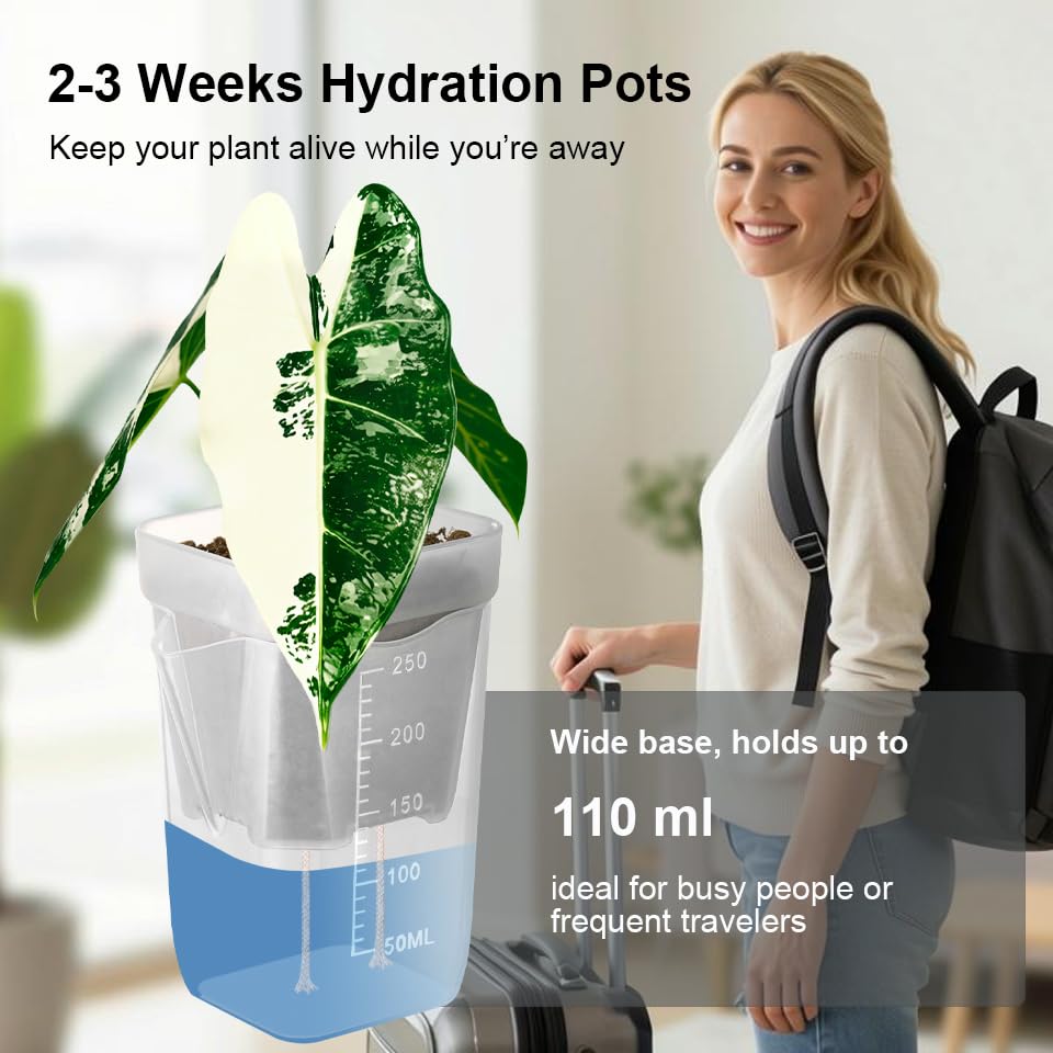 10 Pack 2.5 inch Clear self Watering pots for Indoor Plants - view 4