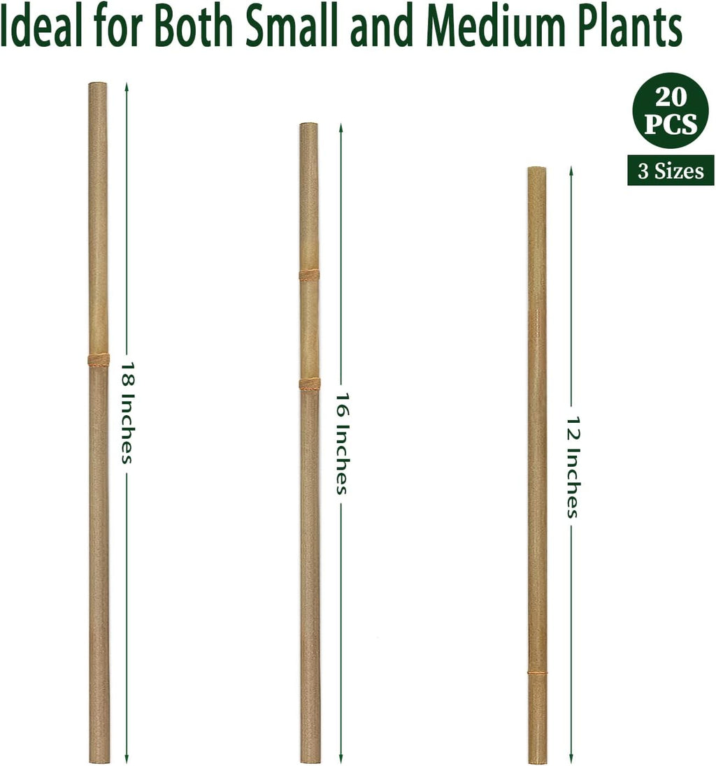 Plant Stakes,18 Inches Natural Garden Bamboo Sticks, 20Pcs Plant Support Stakes for Tomatoes,Beans,Vegetable and Potted Plants | with 20Pcs Green Ties, Bamboo Sticks for Plants,Garden Stakes for Plants,Tomatoes, Beans, Vegetable and Potted Plants - view 6