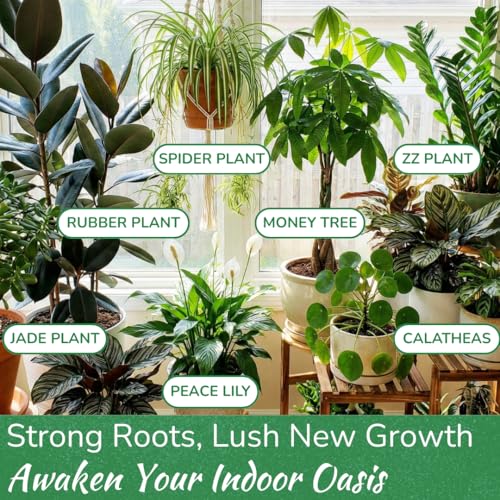 Indoor Plant Food - Organic Liquid Fertilizer for Pothos, Peace Lily, Monstera, Cactus and More - 8 oz - view 5