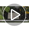 Seed Spacing Ruler for Square Foot Gardening and Raised Beds Planting Guide - view 7
