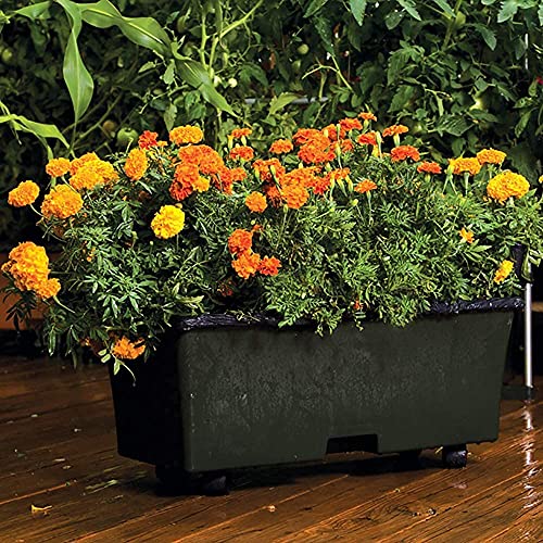 Novelty Garden Kit, Green (Pack of 2) - view 2