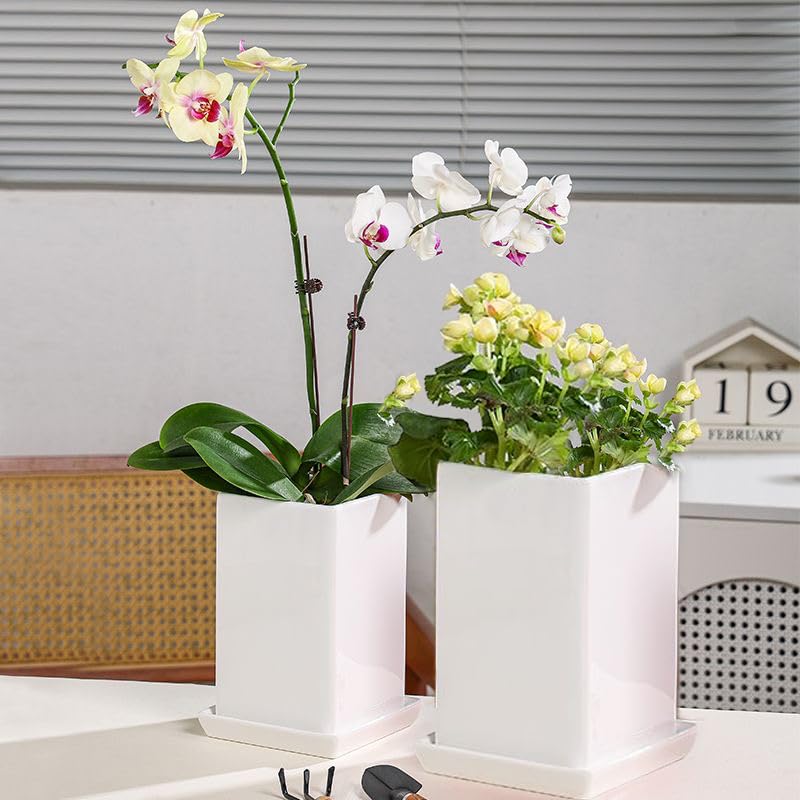 Square Ceramic Plant Saucer Tray 10 11 12 Inch White,12.4" OD x10.8 ID x1.4 Deep| Sturdy Heavy Duty Glazed Planter Drip Flower pots with Catch Basin for Indoor Outdoor Plants(12" White) - view 3