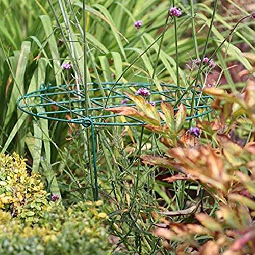 10 Pack 16 x 24 inch Green Peony Cages Grow Through Plant Support Stakes Flower Support Hoops Heavy Plants Brace Rings - view 3