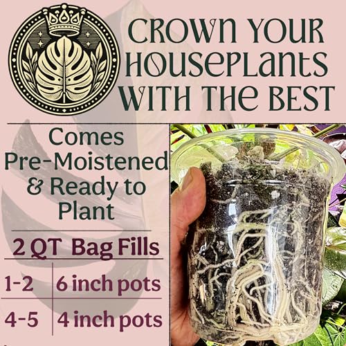 Craft Houseplant Potting Mix, Organic Indoor Potting Soil for House Plants, Chunky Well Draining Plant Soil for Pothos, Snake Plant & Tropical Plants, Peat Free, 2 Quart - view 5