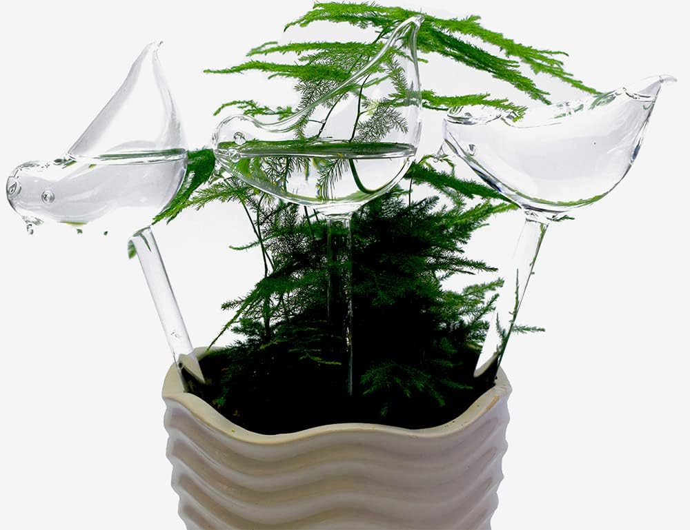 Glass plant watering globes, self watering globes bird shape, self watering planter insert, plant watering devices, automatic plant waterer indoor, watering bulbs, 3 pack - view 4