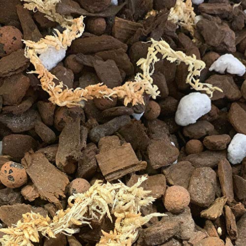 Phalaenopsis Monterey Dark Imperial Orchid Potting Mix (Standard Bag) - view 4