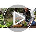 100% Organic Vermiculite | Made in the USA | Premium Nutrition for Indoor and Outdoor Plants - view 7