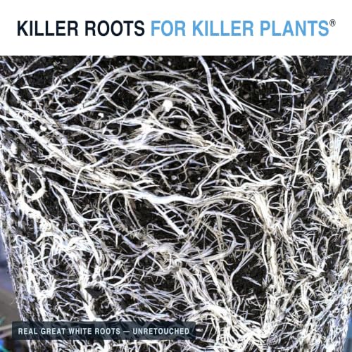 Great White Mycorrhizal Fungi, Beneficial Bacteria for Plant Growth, Root Booster, Concentrated 3-in-1 Formula (1 oz) - view 5