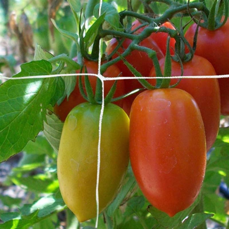Polyester Trellis Netting Garden Plant Climbing Support Mesh for Vine Vegetables and Flowers - view 5