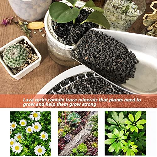 7lb Black Lava Rock for Plant, 1/8-1/4 inch Horticultural Volcanic Rock Soil for Decorative Landscaping Bonsai, Cacti, Succulents Plants Top Dressing for Release Excess Water - view 3