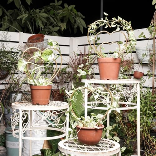 Indoor Plant Trellis Set of 3 - Mini Gold Heart-Shaped Frames for Climbing Houseplants, Hoya, Ivy, and Pothos - Small Potted Plant Support for Indoor and Outdoor Use - view 3