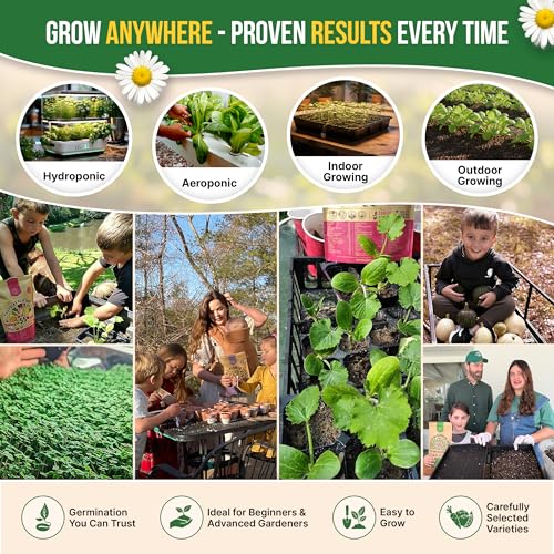 15 Medicinal & Tea Herb Seeds Variety Pack 6,420+ Non-GMO Heirloom Garden Seeds for Indoor & Outdoors, Including Anise, Borage, Cilantro, Chamomile, Dandelion, Rosemary Seeds - view 5