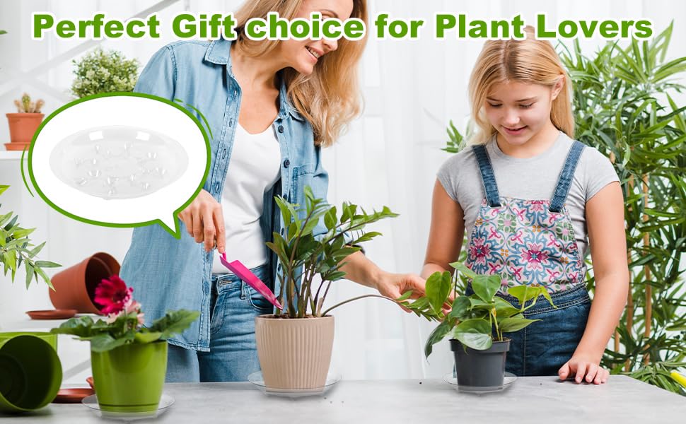 6 Pack Heavy Duty Clear Plastic Plant Saucer Sturdy Pot Tray Plant Drip Trays Drip Trays for pots,Plant Water Catcher Tray,Flower Pot Saucer Water Drainage Tray Floor Protector (10 INCH) - view 2