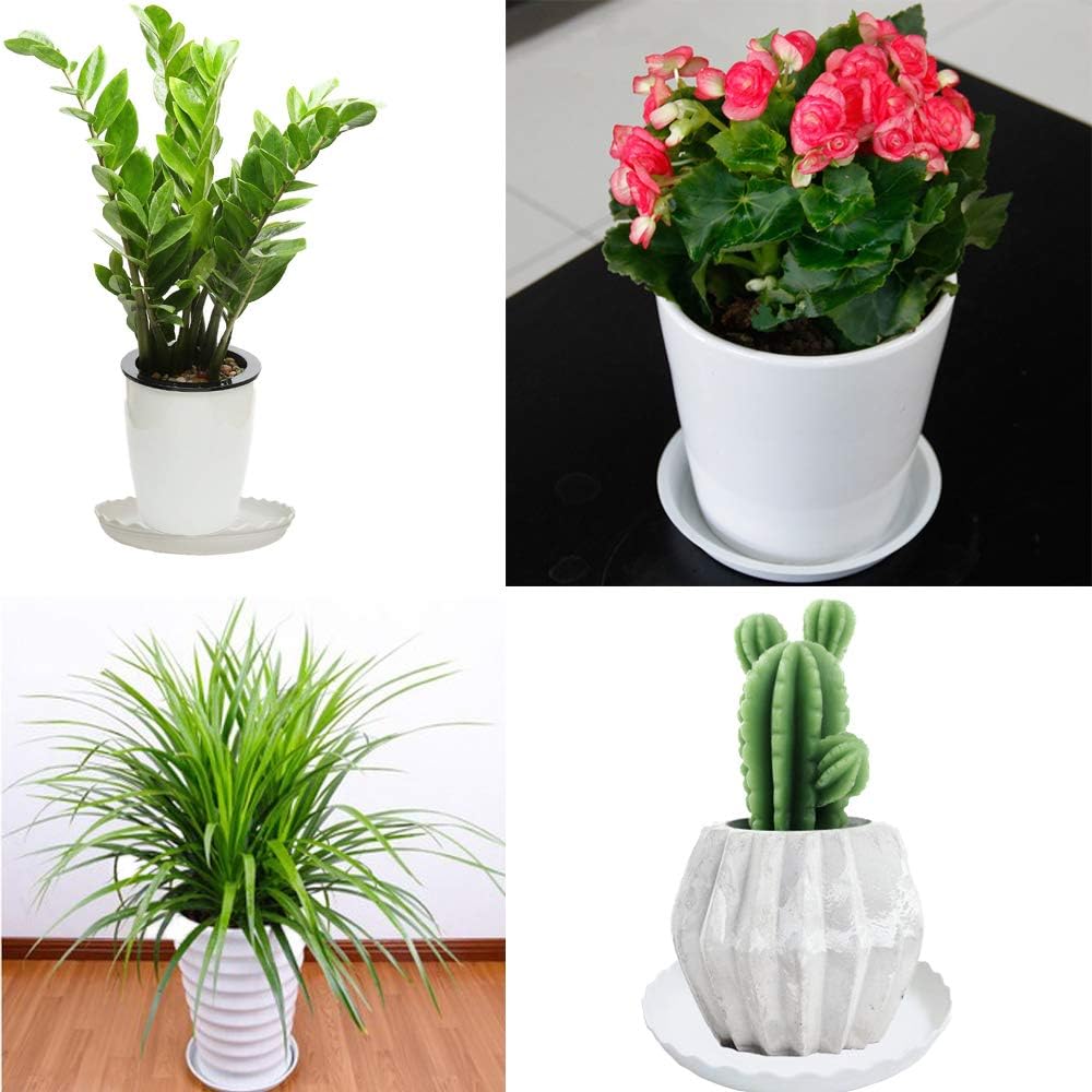 12 packs wave plant saucer - plastic flower pot drip trays/durable heavy duty white planter water tray for indoor and outdoor garden (6/8/10 inch) - view 8