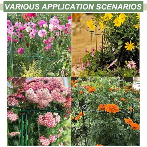 12 Pack Plant Support Stake Peony Cages, 16 Inch Peony Supports for Outdoor Plants, with 15 Pcs Plant Labels, 20 Pcs Plant Clips, 7ft Plant Ties - view 5