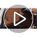 Coco Coir Brick I Expandable Organic Coconut Fiber Substrate I Plants Potting Soil Mix for Indoor & Outdoor Gardening, Succulents & Cactus I OMRI Certified & Non-GMO Soil Alternative, 10lbs - view 7