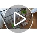 Plant Stand Indoor Outdoor, 3-Tier Metal Corner Plant Shelf - view 7
