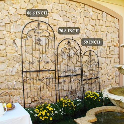 Metal Garden Trellis, Plant Support for Climbing Roses & Clematis - view 6