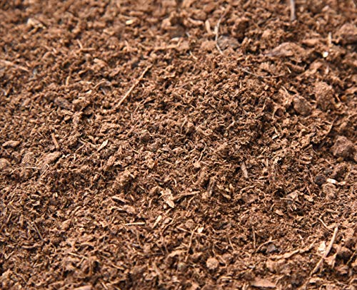 Organic Sphagnum Peat Moss, 4 qt, Soil Additive - view 5