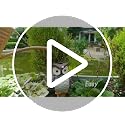 Owl Shaped Self-Watering Spikes - Effortless Plant Care for Your Garden, Whimsical and Charming Design for Indoor and Outdoor Plants, Keep Your Plants Hydrated While on Vacation - view 7
