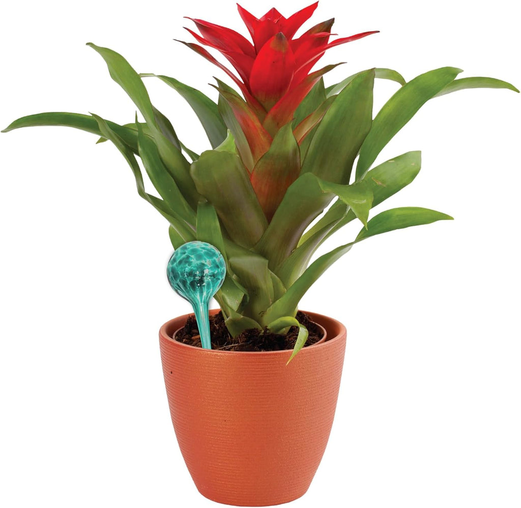 4-piece watering globe set, colorful hand-blown glass plant watering system - view 3
