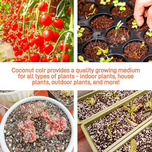 3-Pack Coco Coir Bricks, Premium Organic Peat Moss Mix for Plants, Low EC & pH Balance, Fiber Coconut Husk. Ideal for Gardening, Potting Soil & Substrate - view 5