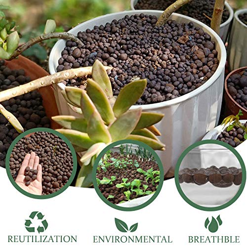 2LBS Leca Expanded Clay Pebbles Hydroponics Supplies for Indoor Garden Plants (2LBS) - view 6