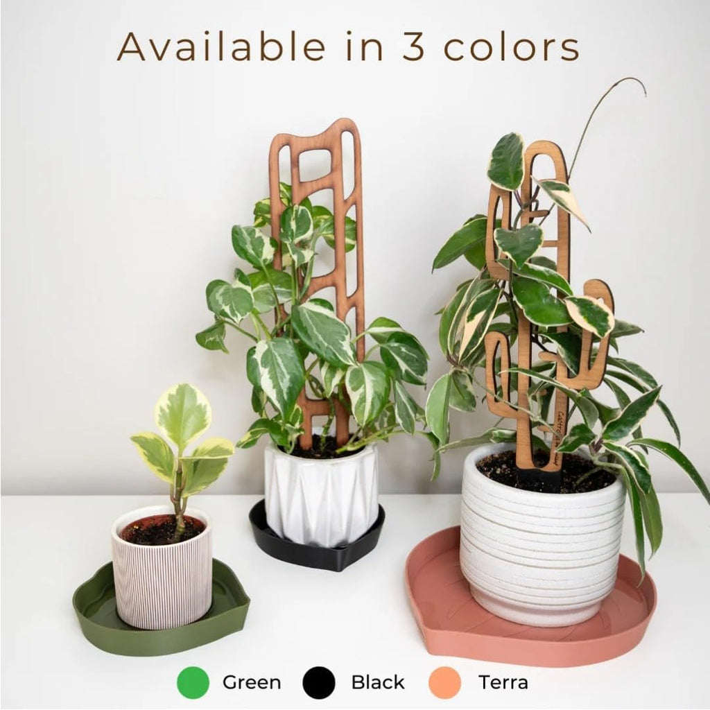 Mia Bottom Watering Plant Saucer – 10 inches Self-Watering Plant Tray for Indoor Plants, Leaf-Shaped Pot Saucer with Water Reservoir for Healthy Root Growth - Black - view 6