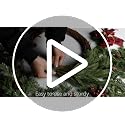 100 Pcs Large Christmas Garland Ties, 12 Inch Reusable Nylon Banister Ties - view 7
