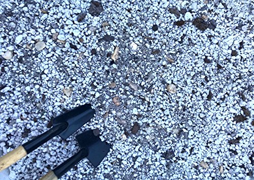 3 lb (Approximately 2 Quarts) Special Lithops Soil Mix Perfect Potting Medium with Excellent Drainage Improve Plant Root System + Bonus One Live Mini Lithops - view 2